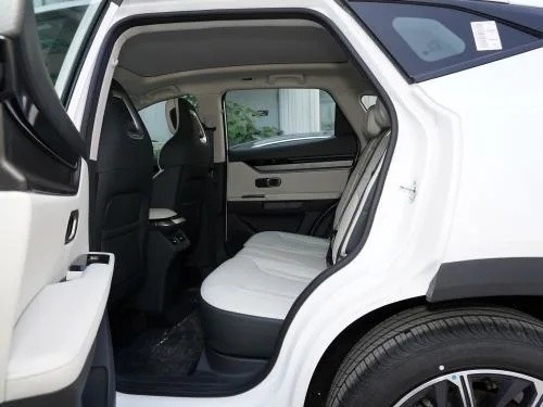 Hecho SUV 2023 Modelo 1.6t 5 puertas 5 asientos de gasolina con personalización por Jietu Dasheng