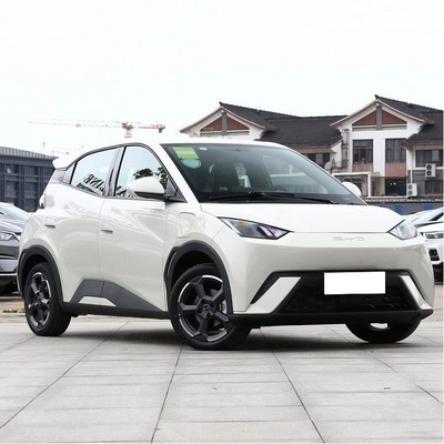 2024 2023 Asequible Cerrado 305km 405km Pequeño coche eléctrico EV Byd Gaviota Haiou Sedan