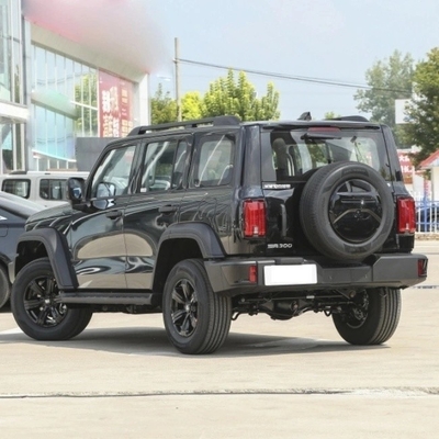 SUV de gasolina chino 2023 Changcheng Tank 300 2.0t 02 con sistema de frenado mecánico