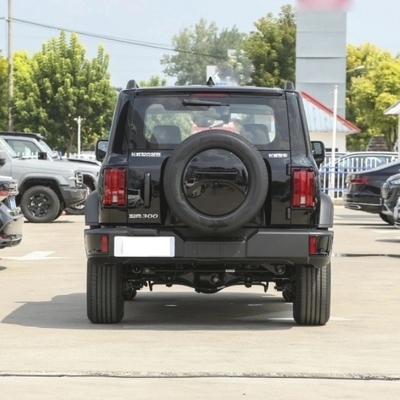 Auto tanque 300 2023 modelo 2.0t Caballería 02 Coche con guía remota Servicio postventa