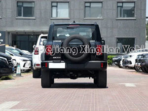 Cisterna Cyper 300 Great Wall Car Populares vehículos todoterreno en De acuerdo con el cliente principal