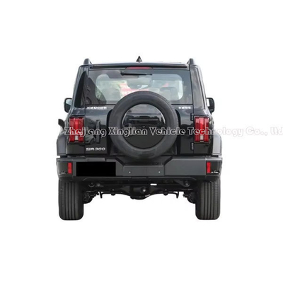 Tanque de color negro exterior 300 2.0t 5 asientos Automóvil de gasolina con certificación ISO10012