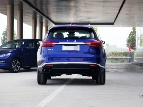 Servicio por correo electrónico o teléfono en línea y venta de repuestos Hongqi HS5 2 0 T PRO Coche usado 2024