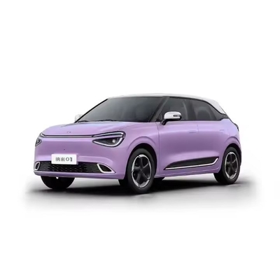 2024 China Mini Car eléctrico Dongfeng Nano 01 Versión con y Servicio postventa