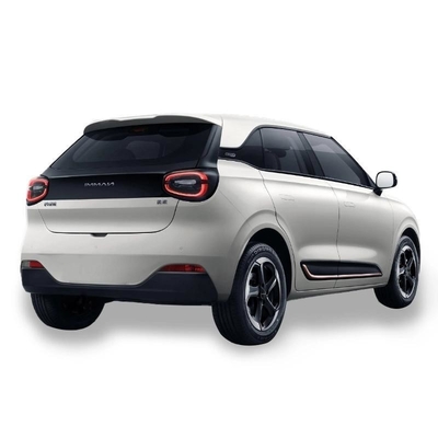 Dongfeng Nano 01 2024 Tendencia del producto Pequeño coche eléctrico Nammi 01 Mini EV personalización